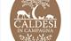 Thumbnail for Ladies' Lunch at Caldesi in Campagna