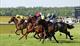 Thumbnail for Racing at Ascot: Transformers & Rectifiers Day