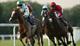 Thumbnail for Evening Racing at Windsor 2012: 21 May 2012