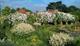 Thumbnail for Waltham Place 100th Anniversary Events programme