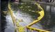 Thumbnail for Royal Windsor Midsummer Fayre and Duck Race