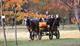 Thumbnail for Ascot Carriages: Carriage rides through The Royal Landscape, Windsor Great Park