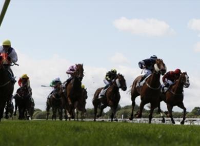 Royal Windsor Racecourse