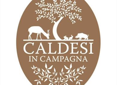 Caldesi in Campagna logo