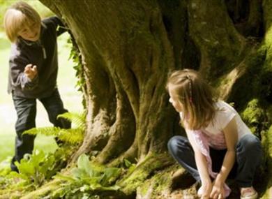 Wild Wednesdays at Cliveden