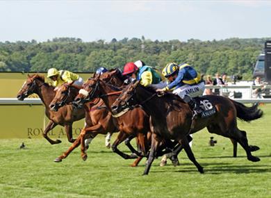 Ascot Races