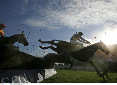 Jump racing at Ascot