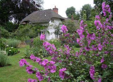 Old Thatch