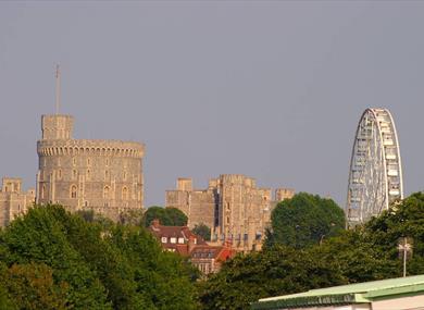 Royal Windsor Wheel