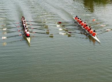 Rowering Race