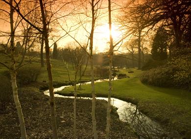 The Savill Garden in winter