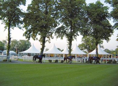 Royal Windsor Racecourse