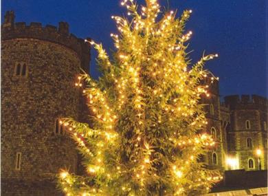 Windsor Tours Windsorian Christmas Tales (Guided walks)