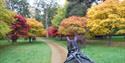 Carriage view of Windsor Great Park