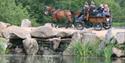 Ascot Carriages at Virginia Water