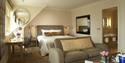Pavilion Junior Suite Room