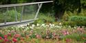 The new Rose Garden in the Savill Garden