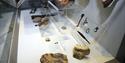Museum exhibits