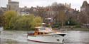 Larus on the River Thames with Castle in distance