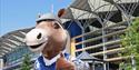 Ascot Family Fun Day