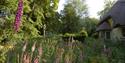 Old Thatch Garden