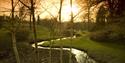 The Savill Garden in winter