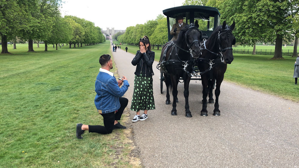 Wedding proposal on The Long Walk, Windsor Great Park, with Windsor Carriages