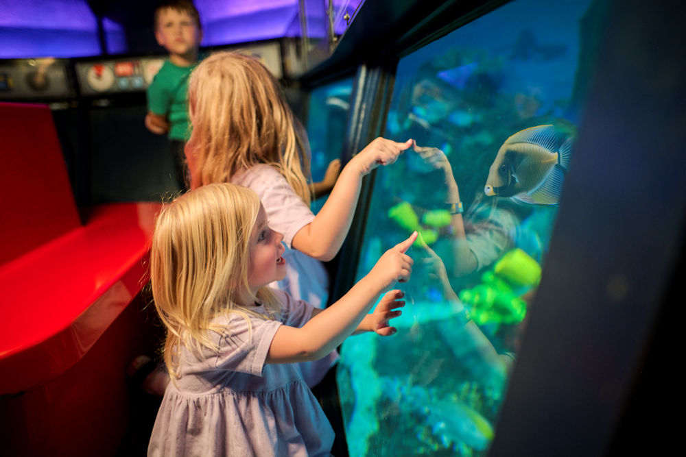 Children looking at fish at Legoland Windsor Resort