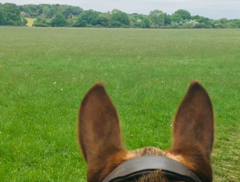 Cookham view through horse ears