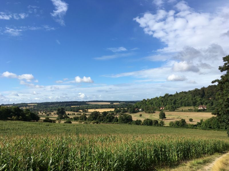 Hambleden Valley