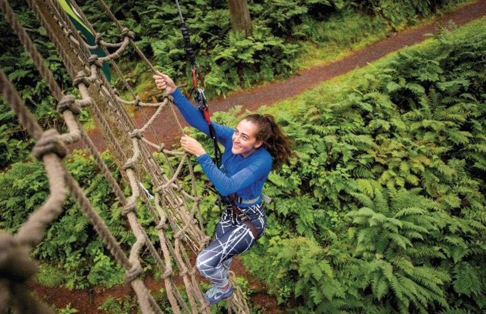 Person taking part in Go Ape's Treetop Adventure
