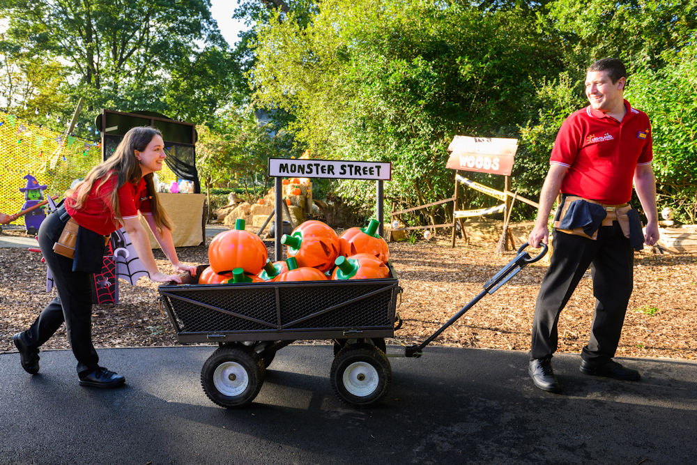 Model Makers with pumpkins