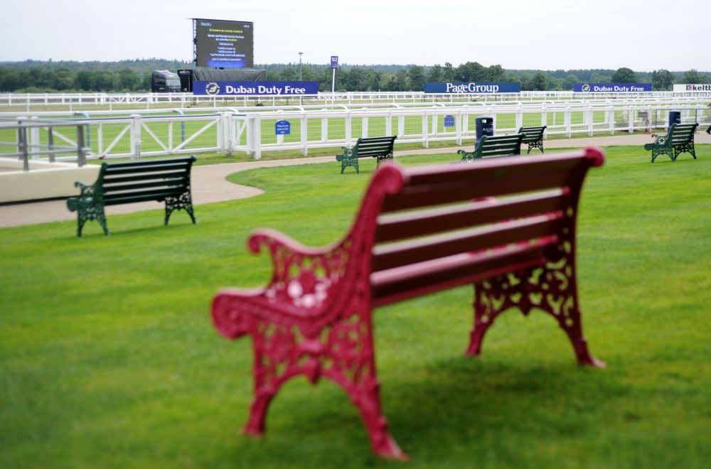Ascot Racecourse pink bench