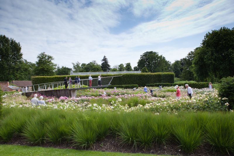 The Savill Garden Rose Garden, image Nikki Sheffield