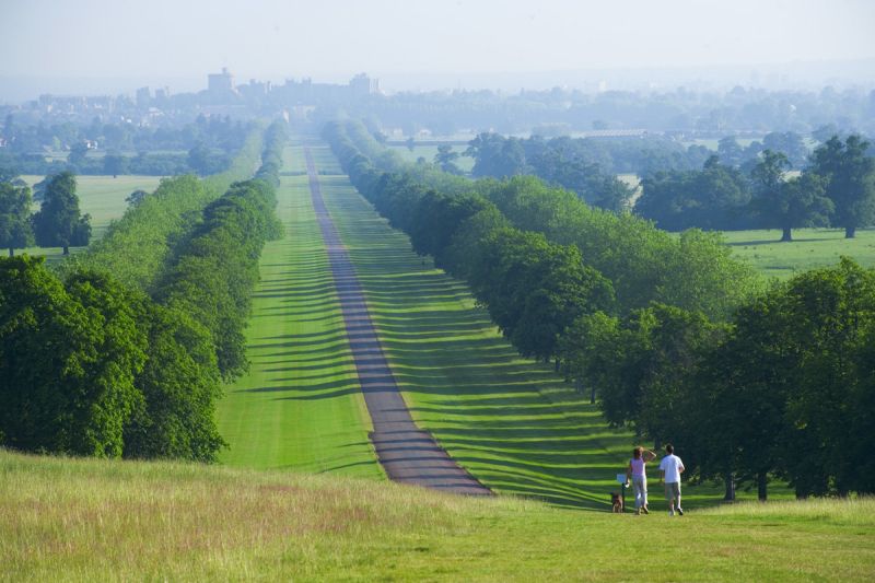 The Long Walk, Windsor Great Park