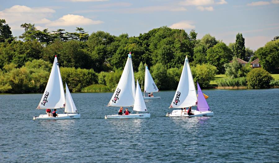 open water swimming bray lake