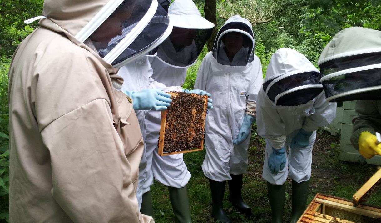 Meet The Bees Lunches At Great Fosters Visit Windsor