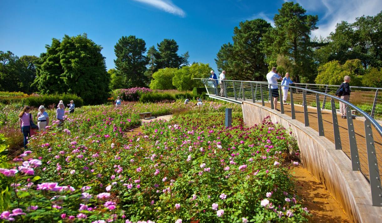 The Savill Garden Visit Windsor