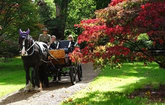Ascot Carriages: Carriage rides in Windsor Great Park