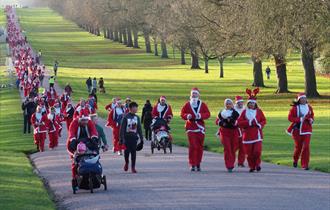Alexander Devine's Santa Dash